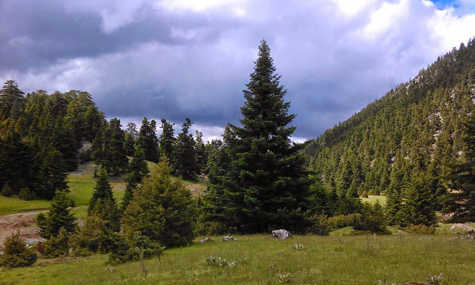 Alexander Resort Arachova Eksteriør billede